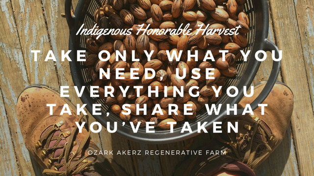 A basket of pecans and some old boots overlayed with the text - Honorable Harvest Take only what you need, use everything you take, share what you've taken