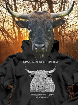 Our Pineywoods bull Rocky photoshopped to appear as if he is wearing a hoodie in the woods