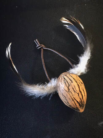 A black walnut with feathers on the sides resembles horns of Pineywoods Cattle