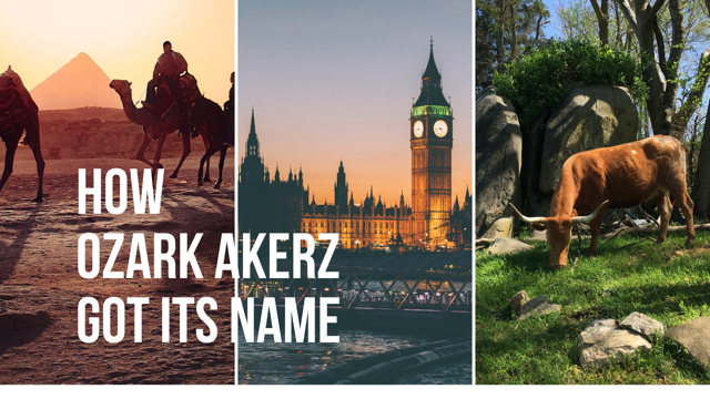 Images of Egypt, London and Pineywoods Cattle are overlaid with the text how Ozark Akerz got its name
