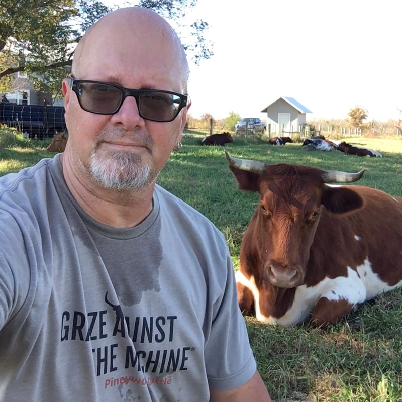 Selfie with Pineywoods cow Rosie. Rosie is lying down in the pasture