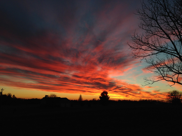 A beautiful, multi-colored sunset with the silhoutte of a leafless tree in the foreground