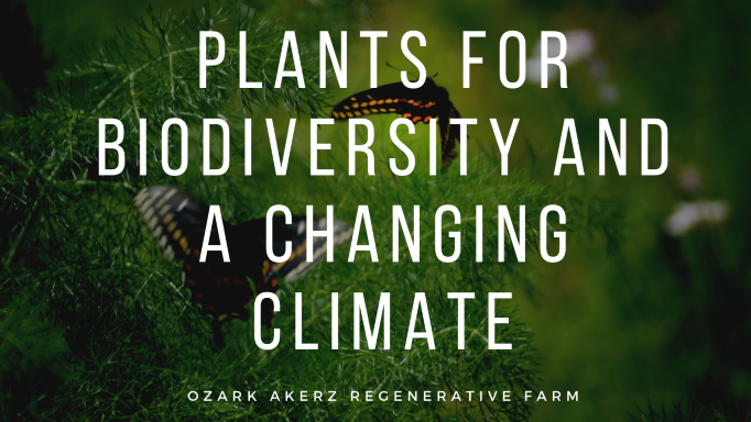 Plants for Biodiversity And A Changing Climate