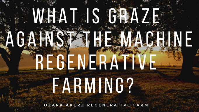 What Is Graze Against The Machine Regenerative Farming?